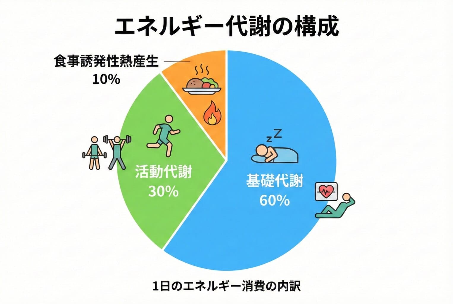 消費カロリーの仕組み
