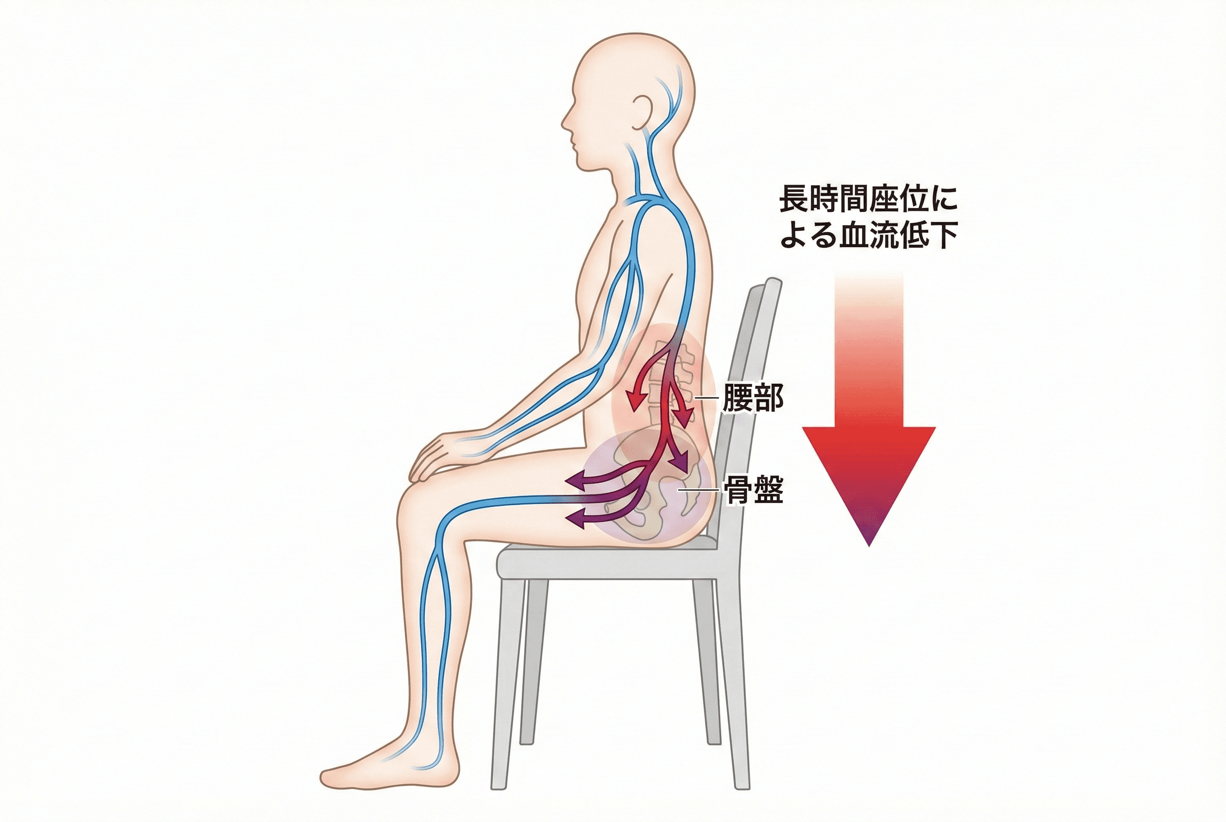 座位姿勢と腰椎への負荷