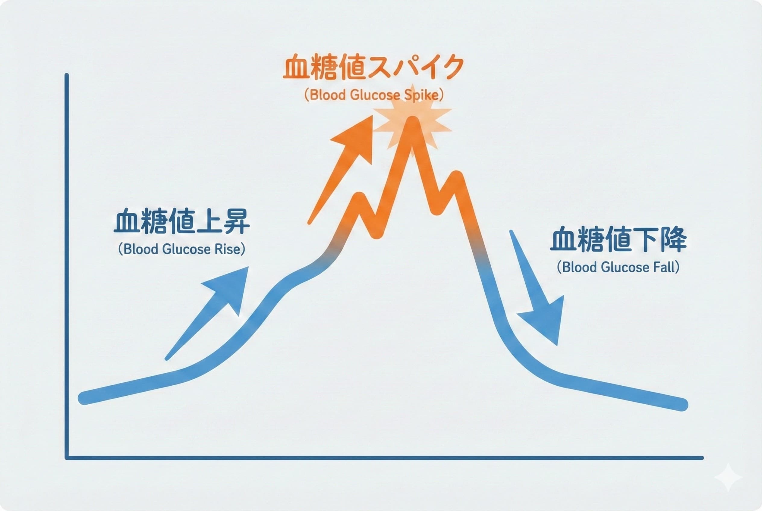 血糖値の変動イメージ