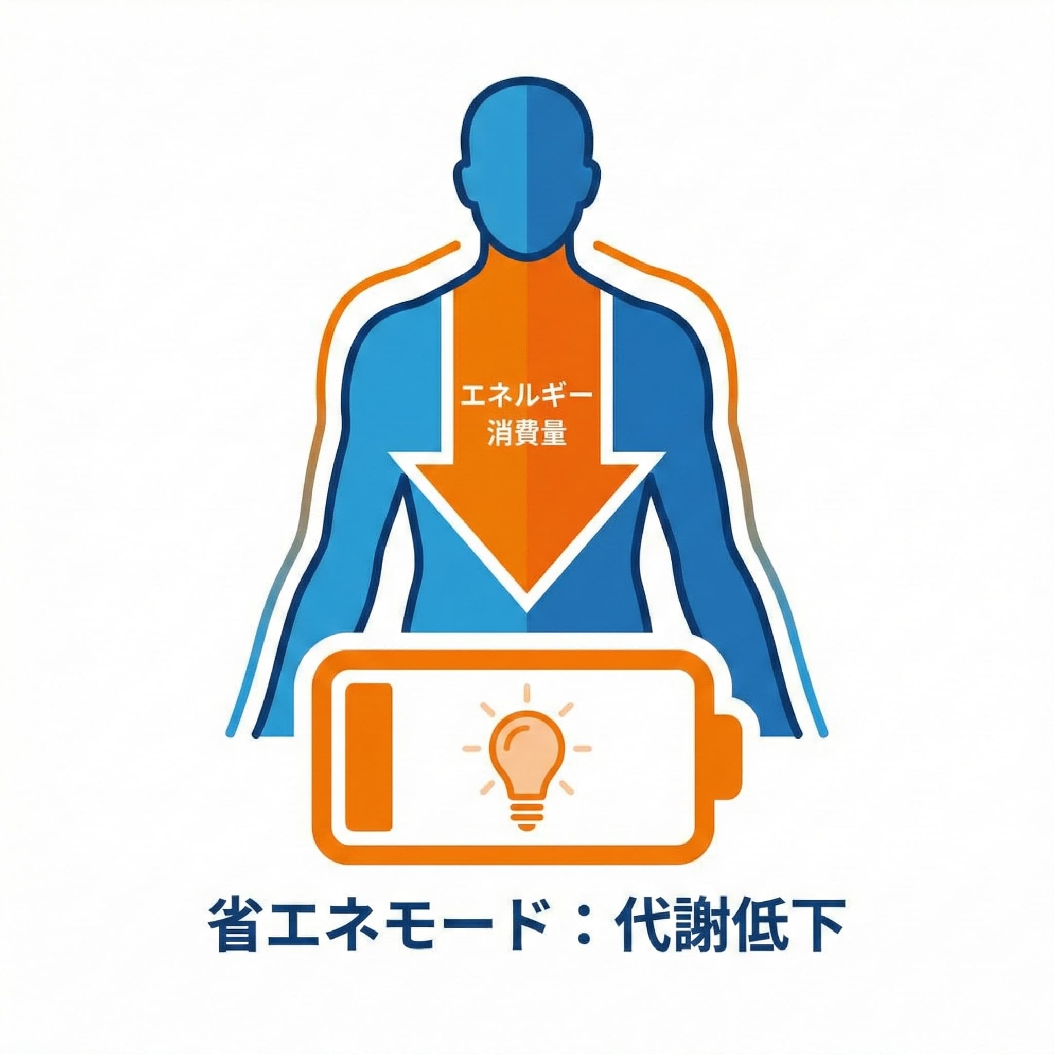 代謝のイメージ