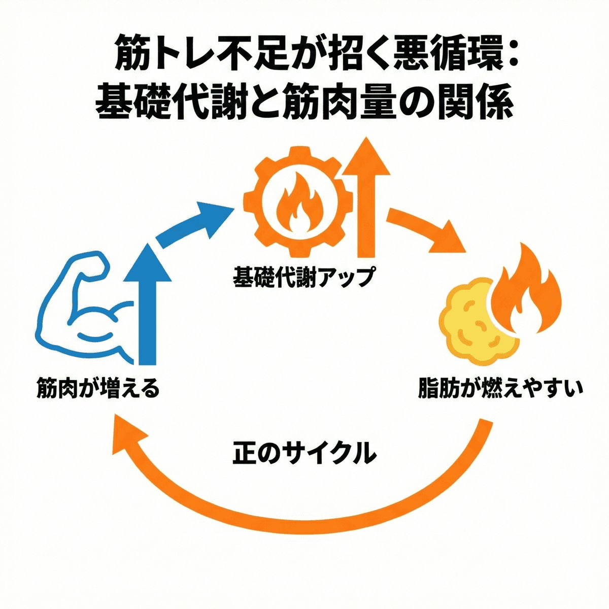 基礎代謝のイメージ