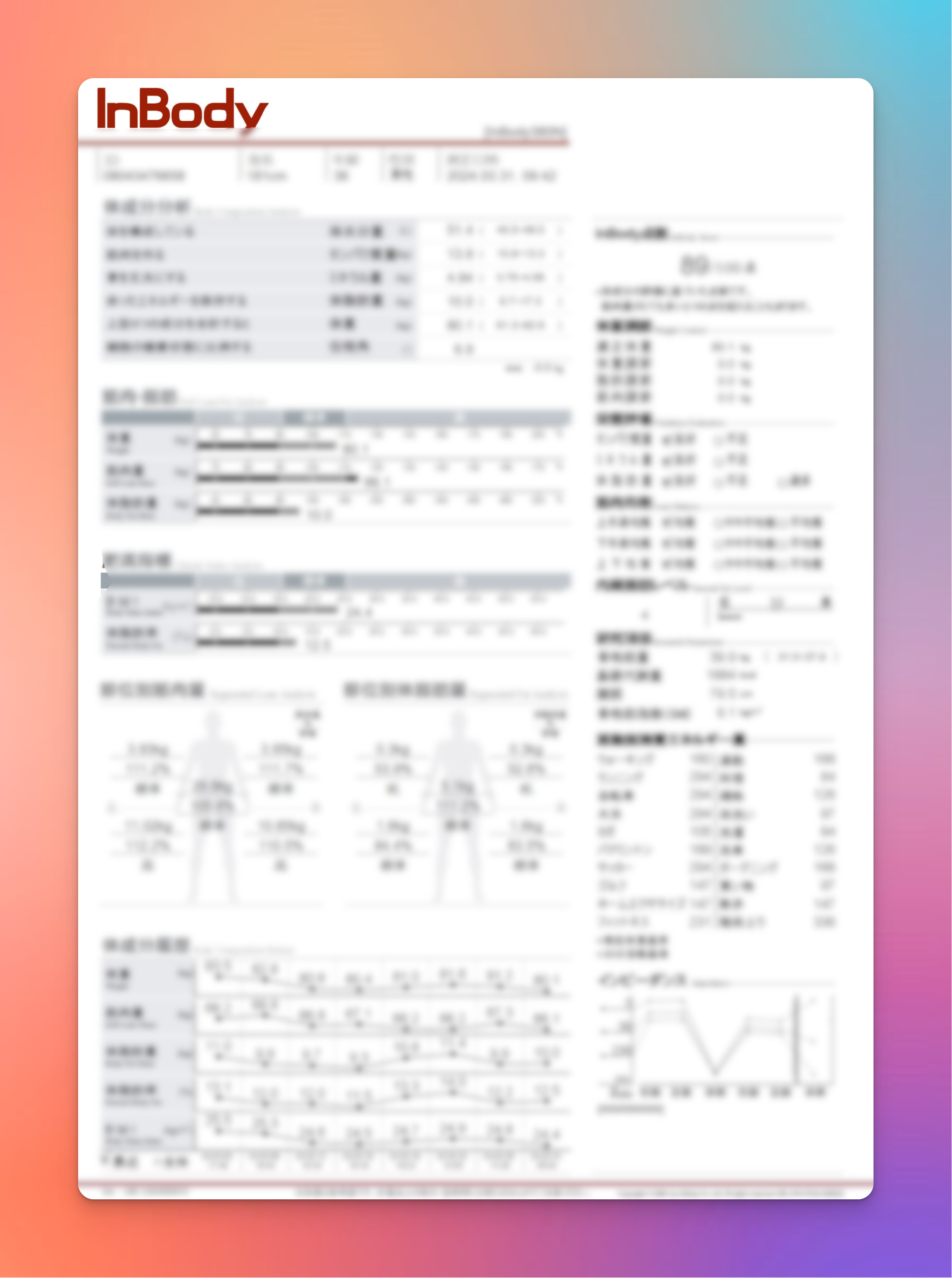 InBody 測定レポート サンプル